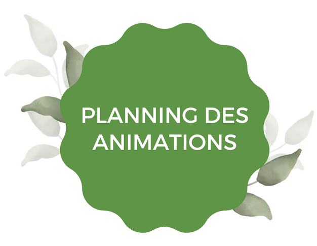 illustration de la page Planning des animations